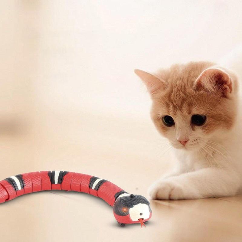 Cobra Inteligente para Gatos | Estimula a Coordenação Motora e Diversão